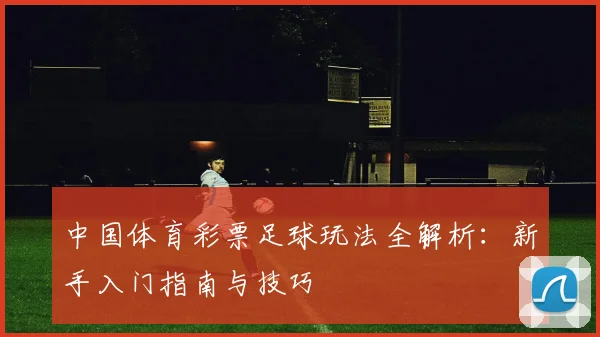 中国体育彩票足球玩法全解析:新手入门指南与技巧